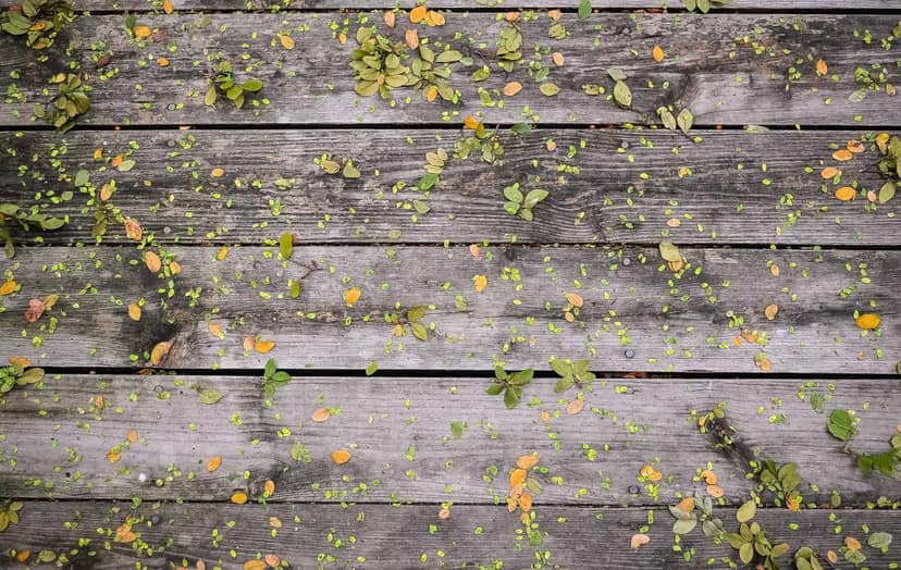 Unauth title tOoJkXSA